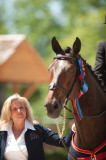 Romney horse qualifies for Olympics