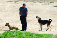 *EXCLUSIVE* Connor Cruise spends time with his furry friend!