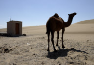 Darvaza 'Gates Of Hell' gas crater in Karakum Desert, Turkmenistan - 21 Jul 2012