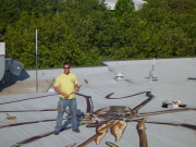 Harvestmen arachnid art painted on rooftop, Seattle, America - 14 Sep 2012