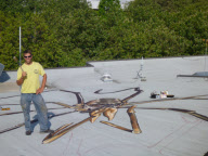 Harvestmen arachnid art painted on rooftop, Seattle, America - 14 Sep 2012