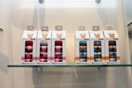 D Pet Hotels open in NYC