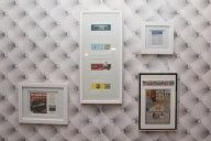 D Pet Hotels open in NYC