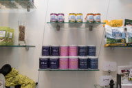 D Pet Hotels open in NYC