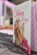 Diva Dog Day: Rekordversuch im Faschingskostüm