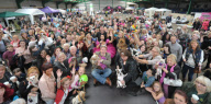Diva Dog Day: Rekordversuch im Faschingskostüm