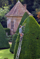 Patrick Cooke, who spends two weeks trimming 12, 30ft high yew tree pyramids at Athelhampton House, Dorset, Britain - 04 Oct 2012