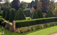 Patrick Cooke, who spends two weeks trimming 12, 30ft high yew tree pyramids at Athelhampton House, Dorset, Britain - 04 Oct 2012