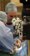 First UK cataract operation on an elephant, Paignton Zoo, Devon, Britain - 20 Sep 2012