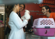 Kim Kardashian Gets Her Kitty Groomed 