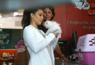 Kim Kardashian Gets Her Kitty Groomed 