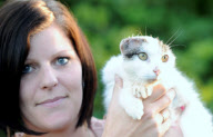 Katze verliert beide Ohren durch Krebsleiden