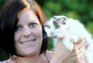 Katze verliert beide Ohren durch Krebsleiden