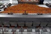 U.S. - Mexico tomato trade war