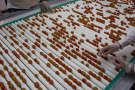 U.S. - Mexico tomato trade war