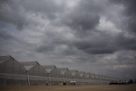 U.S. - Mexico tomato trade war
