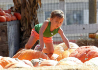 Exclusive... Jennifer Garner And Daughter Seraphina Spend The Day At A Farm 