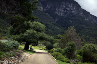 Travel through South Africa