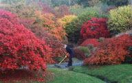 Herbst