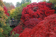 Herbst