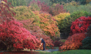 Herbst