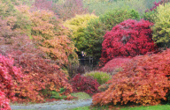Herbst