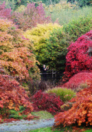 Herbst