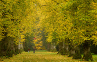 Herbst