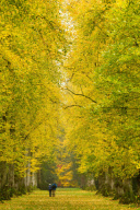 Herbst