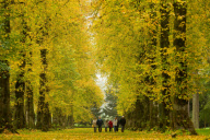 Herbst