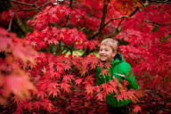 Herbst