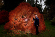 Herbst