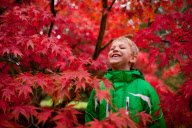 Herbst