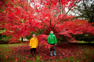 Herbst