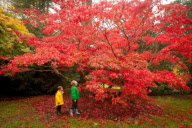 Herbst