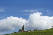 LES VIGNOBLES DU LEMAN