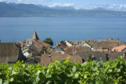 LES VIGNOBLES DU LEMAN