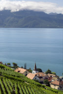 LES VIGNOBLES DU LEMAN