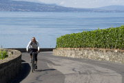 LES VIGNOBLES DU LEMAN