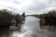 Breezy Point residents tour destroyed homes