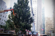 Rockefeller Center gets Christmas tree