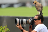 Smile For The Birdie