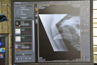 Arktos the polar bear has three hour dental treatment, Highland Wildlife Park, Kincraig, Kingussie, Scotland - 15 Nov 2012
