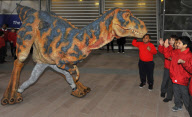 Life-size replica of a baby T-Rex from the show Walking with Dinosaurs, O2 Arena, London,Britain - 21 Nov 2012