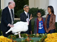 President Obama at annual pardon of National Thanksgiving Turkey, White House, Washington DC, America - 21 Nov 2012