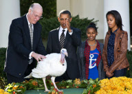 President Obama at annual pardon of National Thanksgiving Turkey, White House, Washington DC, America - 21 Nov 2012