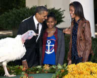President Obama at annual pardon of National Thanksgiving Turkey, White House, Washington DC, America - 21 Nov 2012