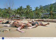 EARTHQUAKE AND TSUNAMI DISASTER, PHUKET, THAILAND - 28 DEC 2004
