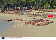 EARTHQUAKE AND TSUNAMI DISASTER, PHUKET, THAILAND - 28 DEC 2004