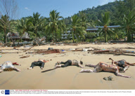 EARTHQUAKE AND TSUNAMI DISASTER, PHUKET, THAILAND - 29 DEC 2004